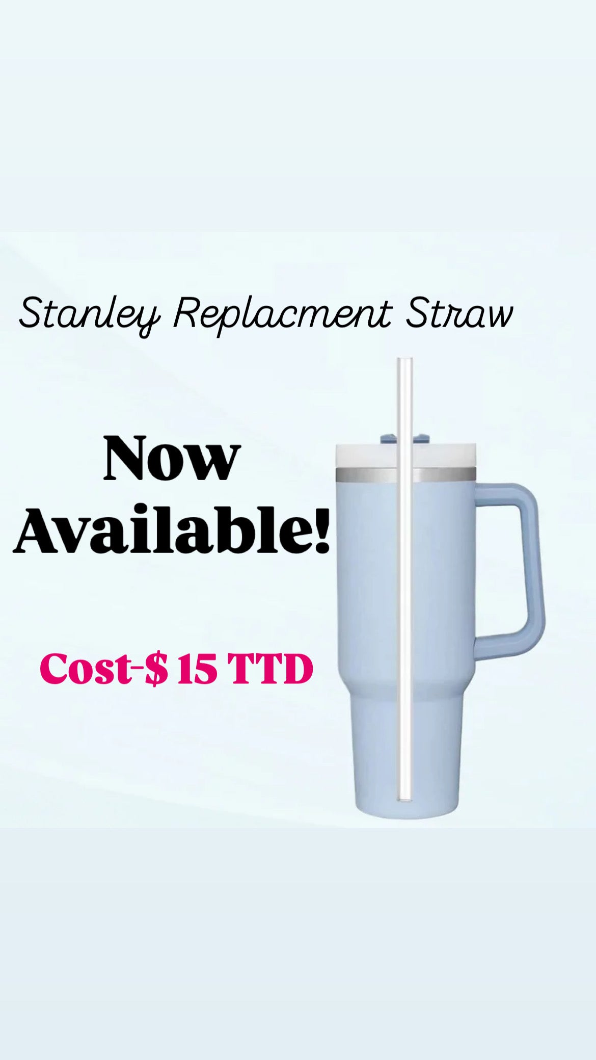 Replacement Straw for Stanley 40oz