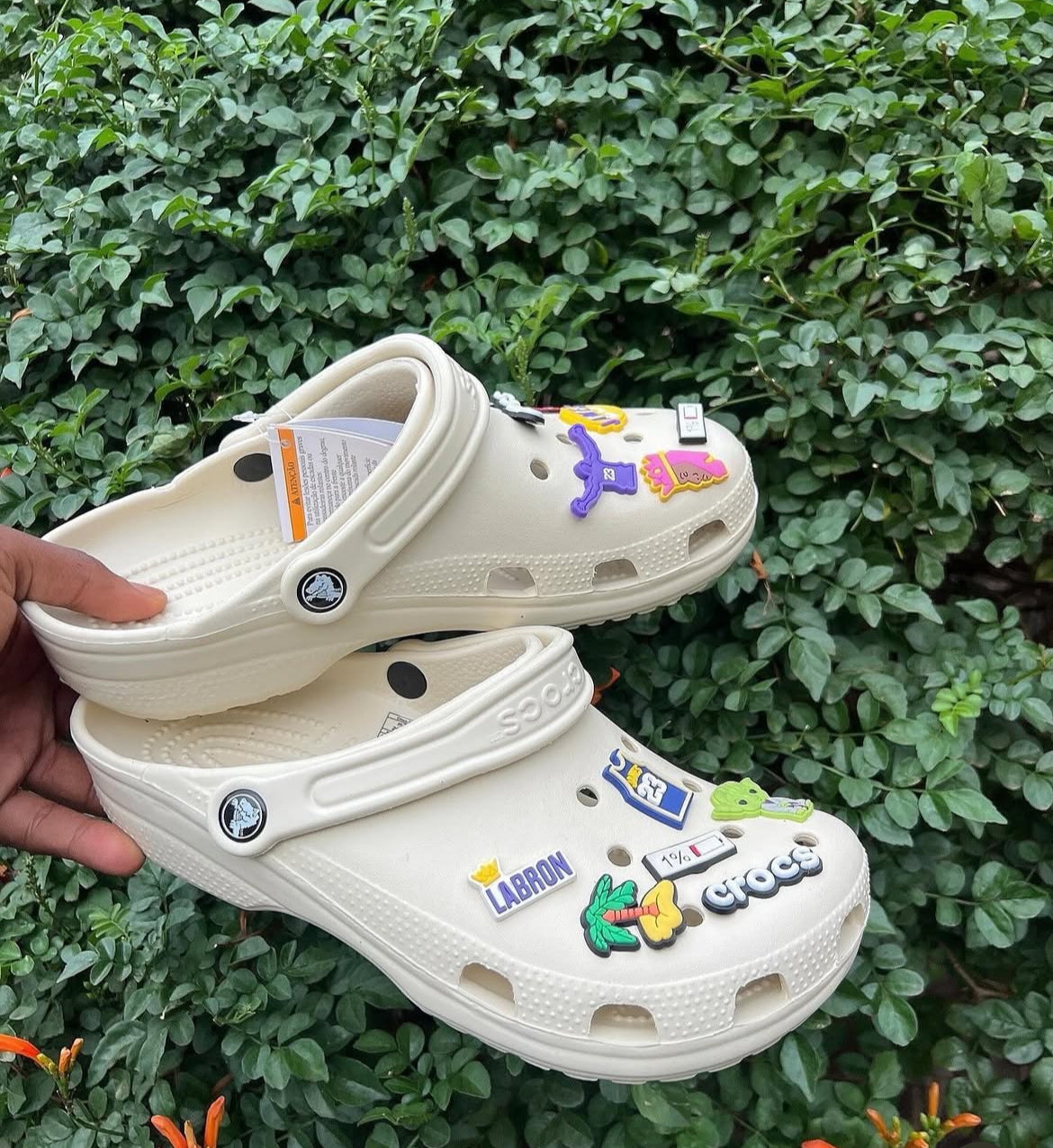Classic Crocs