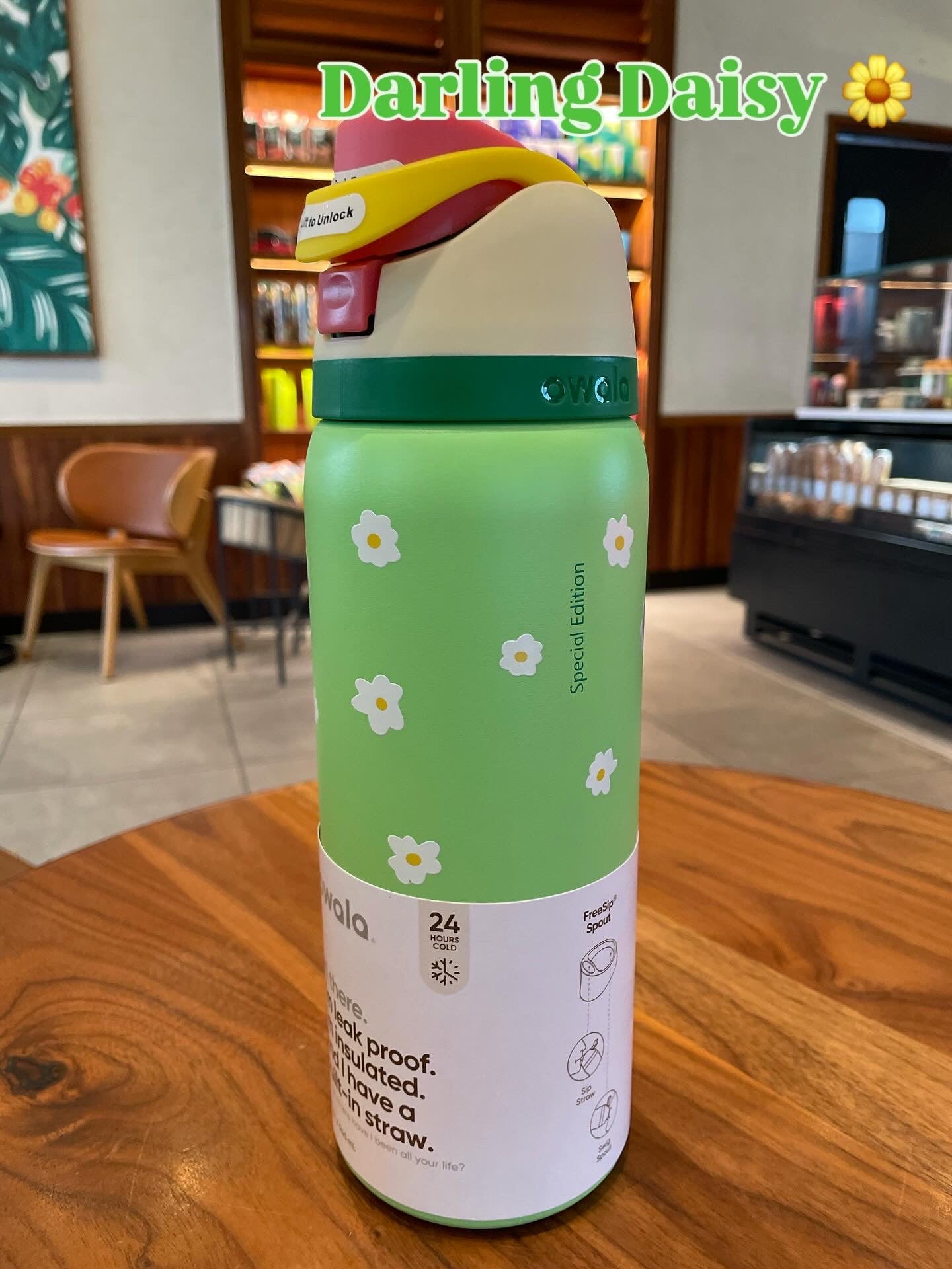 Owala 32oz Insulated Leak Proof Bottle