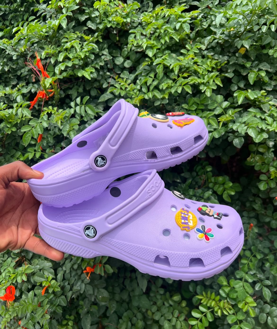 Classic Crocs