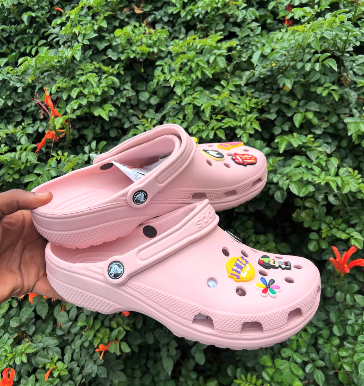 Classic Crocs