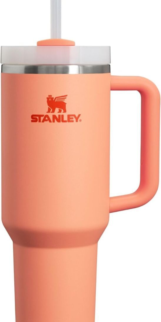 Plain Stanley Cup 40oz